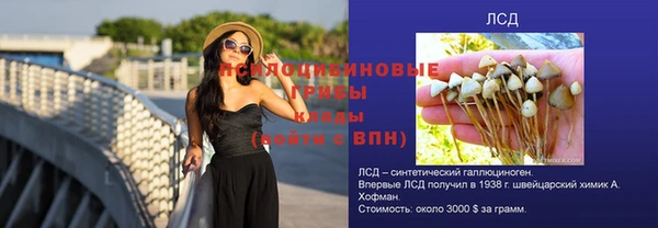 эйфоретик Алексеевка