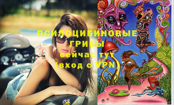 эйфоретик Алексеевка