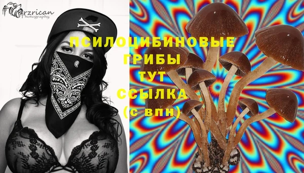 эйфоретик Алексеевка